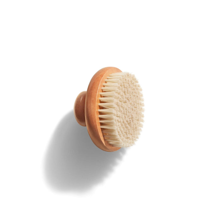 Dry Body Brush Y1